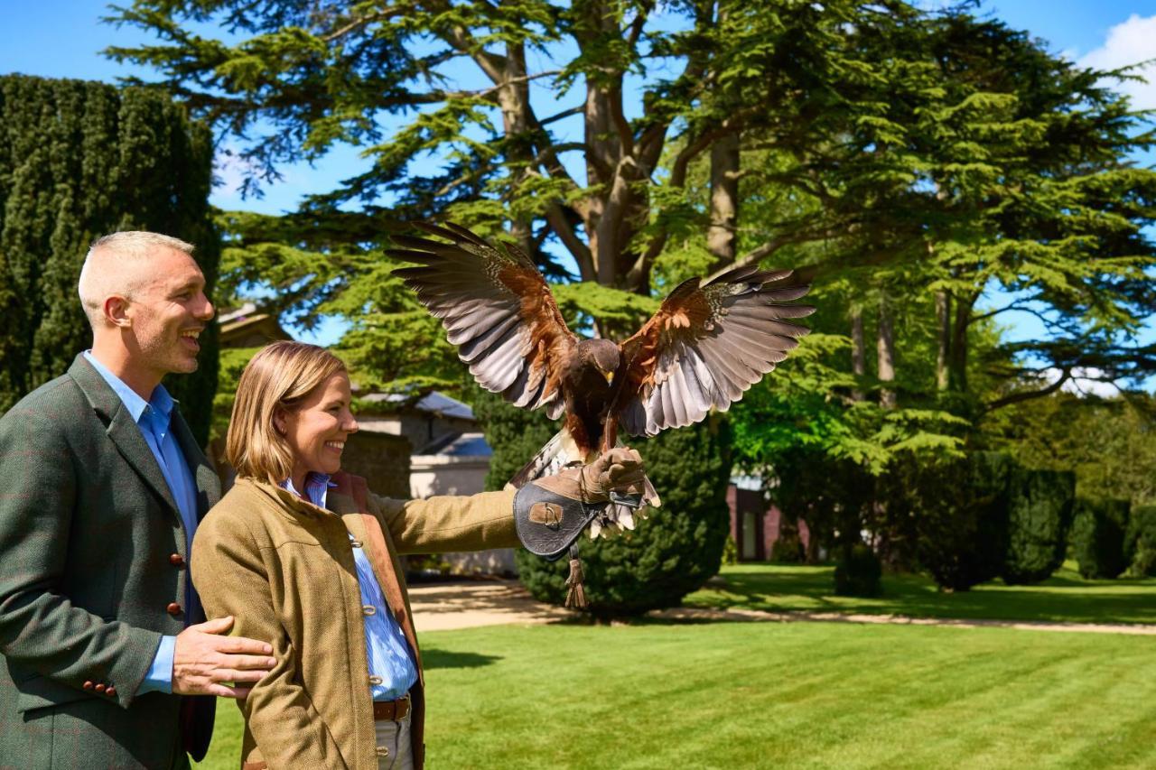 Carton House A Fairmont Managed Hotel Maynooth Exterior foto Visitors at the Hawk Conservancy Trust